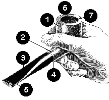 �̶��Ĺ��죱