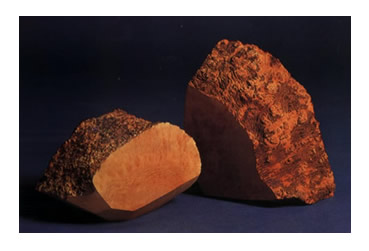 ʯ骸��죨Briar Block��