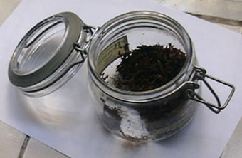 Leslie Ng ���̲ݹ�