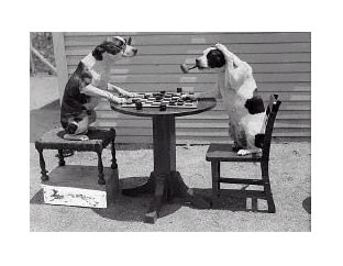 С�����̶�