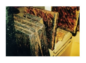 ������һ������