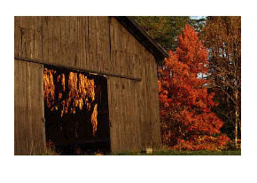 �̲�����������ơ�